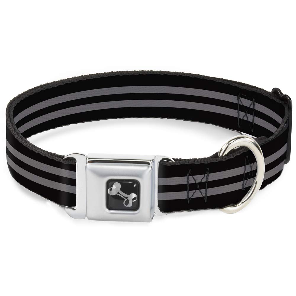 Collier chien Buckle Down rayures pour balade urbaine et éducation M