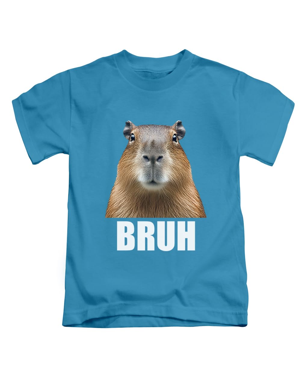 Taylor Brown Unisex Sapphire Bruh, Capybara, Meme Novelty Silly Weird Animal Capybaras Tee T-Shirt Funny T Shirt Top