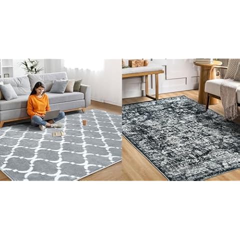 Soft Shag Modern Grey 3x5 Area Rugs for Living Room Bedroom, 5x8 Rugs for Living Room, Vintage Washable Area Rug, Ultra Soft Abstract Non Slip Carpet Printed Low Pile Foldable Accent Rugs for B Cover