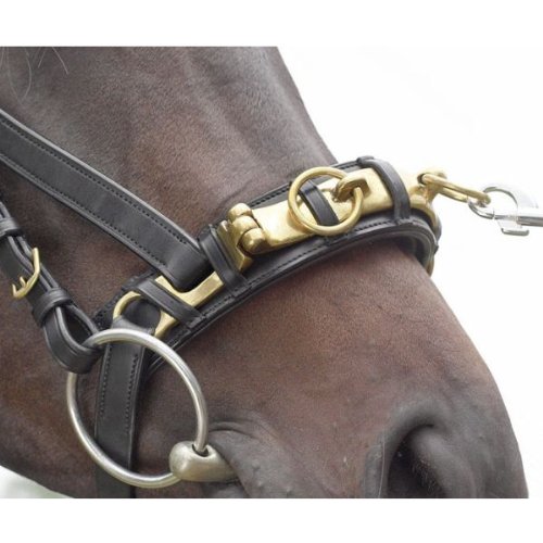Kappzaum Busse Professional für Vollblut und Warmblut