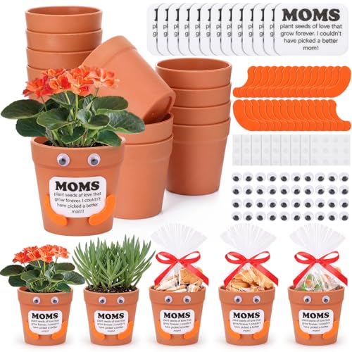 Hollowfly 24 Sets Mothers Day Crafts Bulk DIY Mom Gifts with 24 Pots 24 Gift Bags 24 Cards 50 Felts 50 Eyes Mothers Day Crafts for Mom Mother Party Favors Activities Home Family Gifts