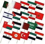 Moon Knives 12''x18'' Set of 20 Middle Eastern Countries Stick Flag wood Staff - Party Decorations Supplies For Parades - Prime Outside, Garden, Men Cave Decor Flag