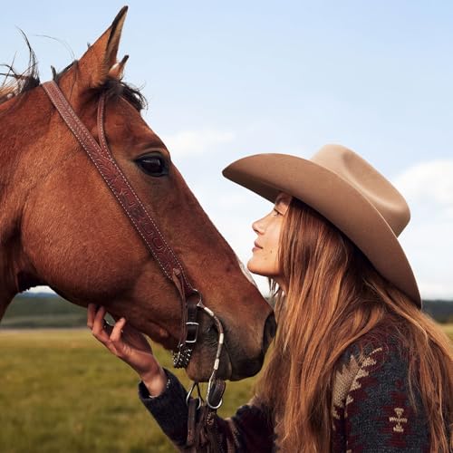 Image of Stetson 7540 Skyline 6X Fur Cowboy Hat