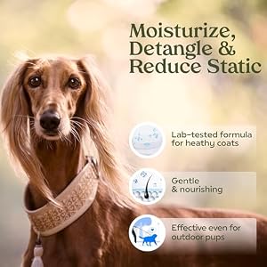 PAWFUME Premium Grooming Spray Dog Spray Deodorizer Perfume For Dogs - Dog Cologne Spray Long Lasting Dog Sprays - Dog Perfume Spray Long Lasting After Bath- Dog deodorizing Spray (Show Dog) PAWFUME Premium Grooming Spray Dog Spray Deodorizer Perfume For Dogs – Dog Cologne Spray Long Lasting Dog Sprays – Dog Perfume Spray Long Lasting After Bath- Dog deodorizing Spray (Show Dog)