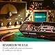 Dunlop DVP3 Volume/Expression Pedal