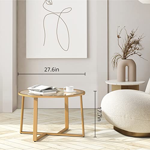 Evajoy Round Glass Coffee Table, 27.6" Gold Coffee Table With Tempered Clear Glass Surface For Living Room, Simple & Modern Center Circle Coffee Table For Small Space, Easy Assembly #TOP1
