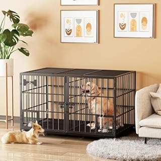 Garden 4 you Heavy Duty Dog Crate-54 inch XL Dog Cage for Large/Double Dogs,DogCrate Furniture for Doggy Indoor with Wheels,Floor Grid, Tray, Divider and Feeding Bowl,Black(137x74x68cm)