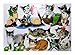 Produktbild Glanzbilder 1612 spielende Katzen Welpen Katze Welpe Posiebilder Deko Mamelok 89