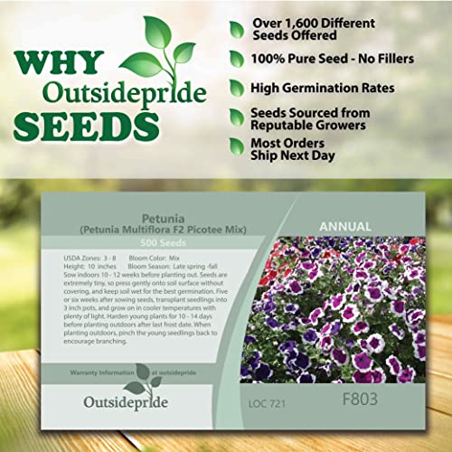 Outsidepride Petunia Multiflora Picotee Indoor House Plants Or Outdoor Container, Basket, Or Pot Flowers - 500 Seeds #TOP12