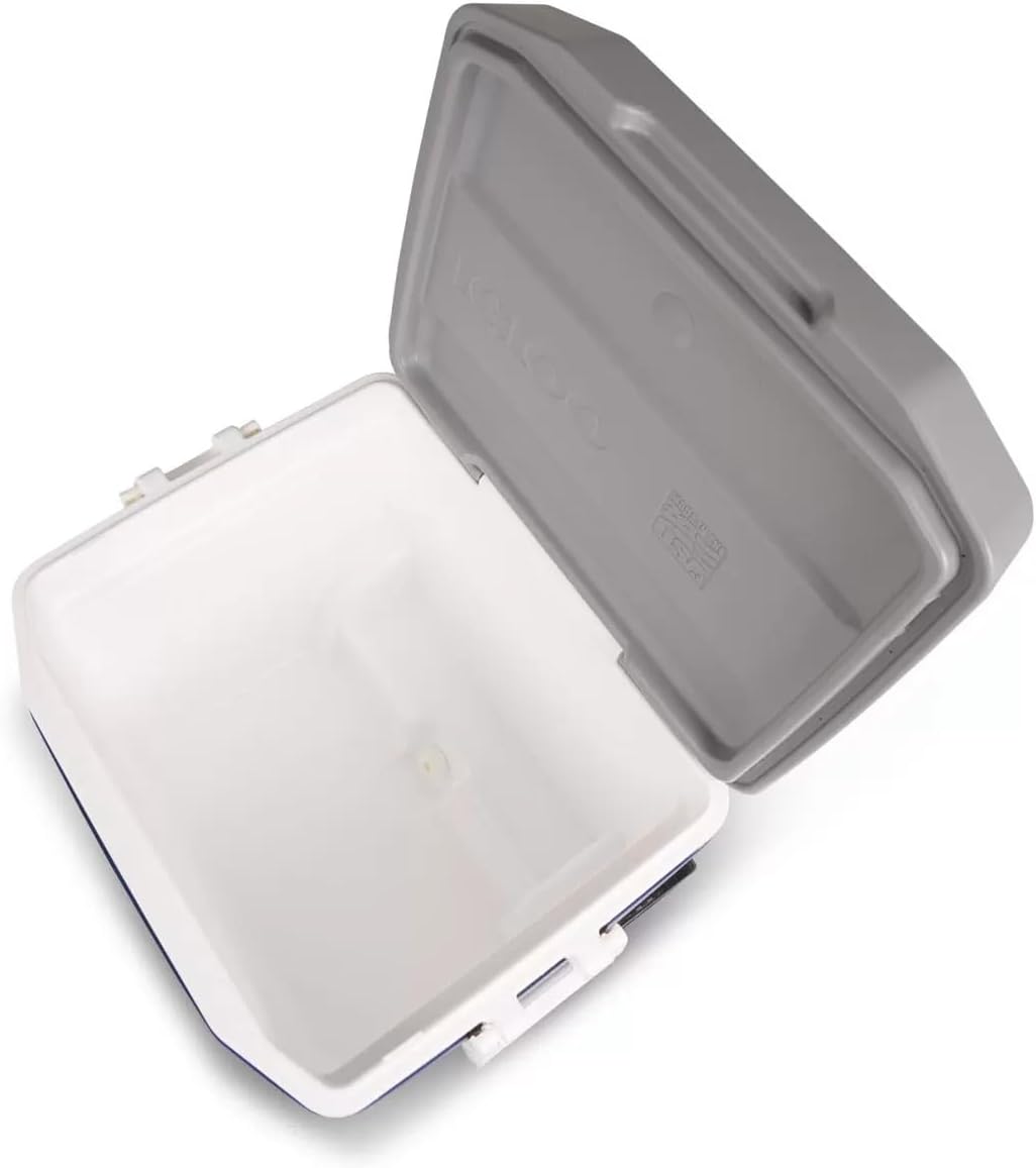 ഇൻ്റീരിയർ view of Igloo MaxCold cooler showing the drain plug at the bottom