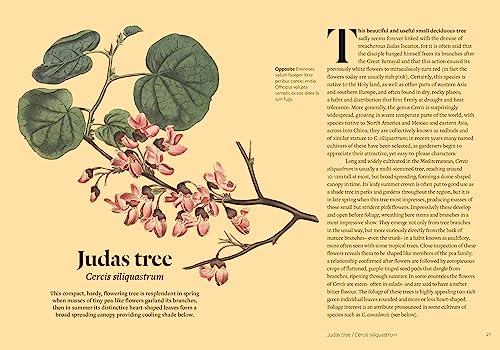 Kew: Parched: 50 Plants That Thrive and Survive in a Dry Garden