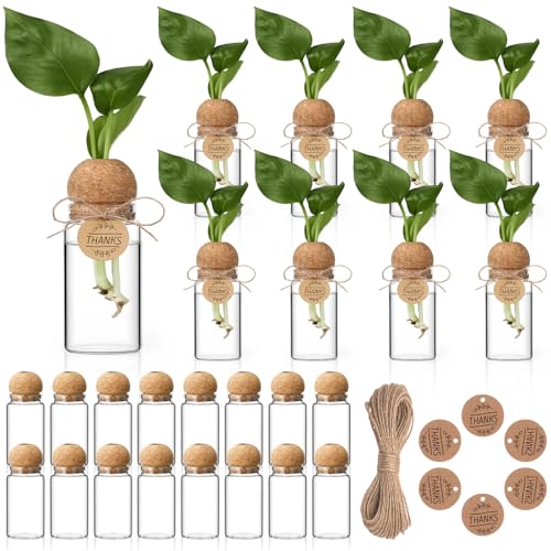 RimCereal 24 Pack 3.54'' Plant Propagation Stations 4 oz Glass Propagation Jars Planter Hydroponic Vase with Mushroom Hole Lid and Thank You Tags for Plant Lovers Office Home Garden