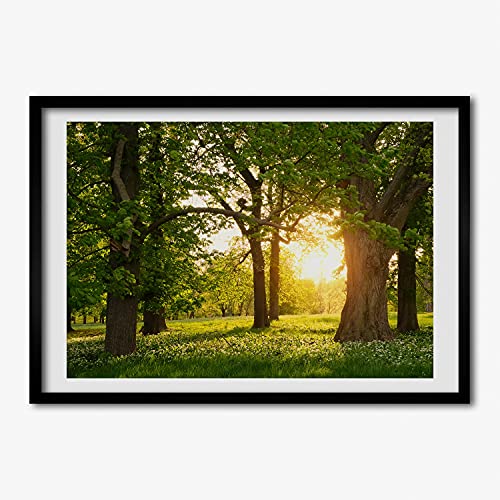 Cadre MDF 70x50 cm Arbres Dans Le Parc tableau moderne pour salon