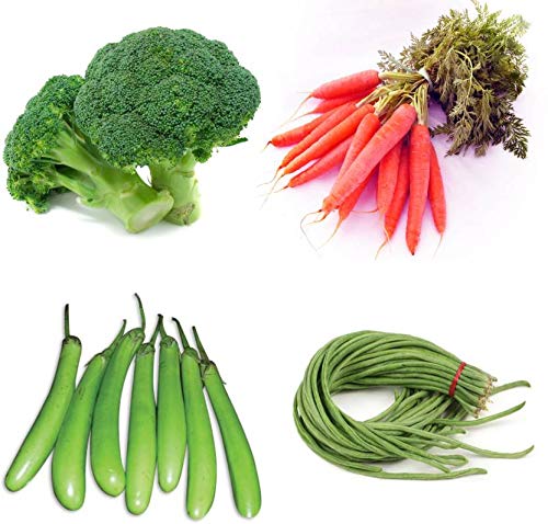 SimXotic Combo of 4 Hybrid Vegetables Seeds (Broccoli, Red Carrot, Green Brinjal & Lobia) F1 HYBRID