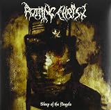 Sleep of the Angels Col. [VINYL]