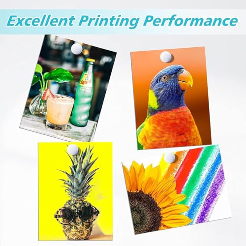 Cartouches d'encre compatibles avec XP-2150 XP-2155 XP-3150 WF-2840 XP2150 XP2155 XP3150 XP3155 XP2100 XP3100 XP-2100 XP-3105 XP-4100 XP-2105 XP-3155 XP-415 Lot de 5 cartouches WF-2850 WF-2830 WF-2810 – vue 7