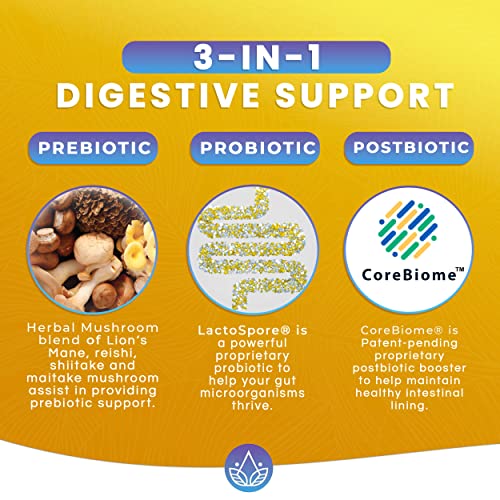 Dr Emil Nutrition Total Gut Health Complex - Prebiotic + Probiotic + Postbiotic Gut Health Supplements For Women And Men - Probiotics For Digestive Health & Gut Health, 60 Capsules #TOP1