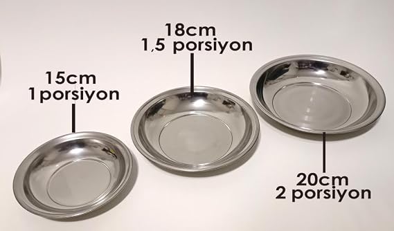 6pcs 20cm Stainless Steel Pit Dinner Plate LargePorsion Sturdy Metal Plate with Lifetime Warranty