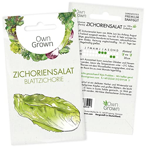 Zichorien Samen: Zichoriensalat Samen zum Anbau von 150 Salat Pflanzen – Salat Samen, Wintergemüse Samen, Gemüse Samen, Gemüsesamen – OwnGrown Saatgut, chilli geschenkset Zichorien Samen: Zichoriensalat Samen zum Anbau von 150 Salat Pflanzen – Salat Samen, Wintergemüse Samen, Gemüse Samen, Gemüsesamen – OwnGrown Saatgut, chilli geschenkset