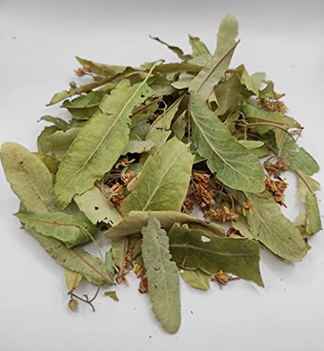 Tilo Seco Salvaje Hojas y Flores 85g a 1.95KG Cosecha Mayo 2022 Tilia Cordata (1950 gramos) - Imagen 8