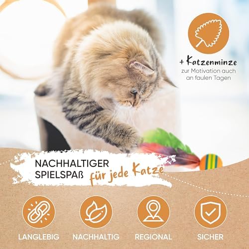 KASPARINO Wędkarstwo dla kota z kocimiętką (wersja 2.0)