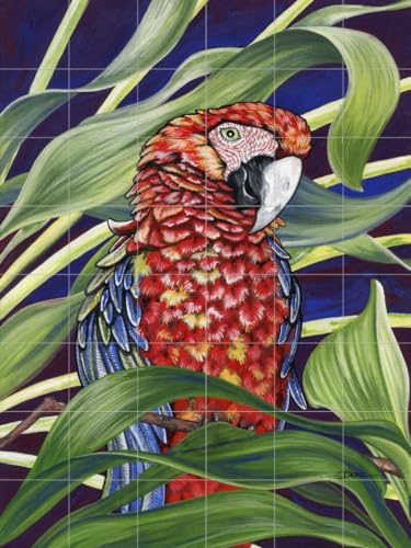 Ceramic Backsplash Tile Mural Tropical Bird Kitchen/Bathroom/Shower - Scarlet Macaw - Denise Freeman