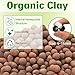 Halatool Reptile Substrate 2QT Clay Pebbles Terrarium Bedding for Reptiles Organic Clay Balls Bioactive Drainage Layer for Terrariums & Vivariums Leopard Gecko Tortoise Frog Lizard Ball Python