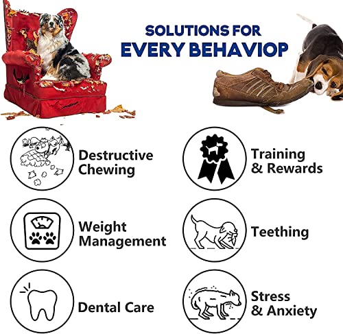 Frledm Dog Toys, Squeaky Dog Toys, Durable Dog Toys For Aggressive Chewers, Chew Toys For Aggressive Chewers Large Breed, Tough Rubber Dental Chew Dog Toys For Large Medium Breed (Purple-Large) #TOP6