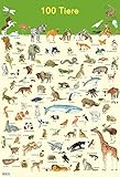 poster tiere afrika  Mein Lernposter: 100 Tiere