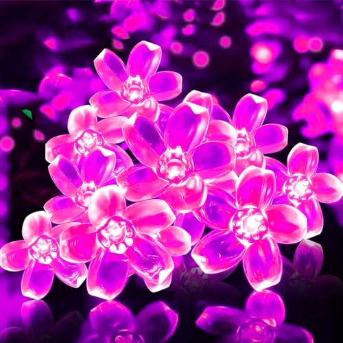 indoor string lights cherry