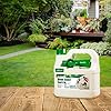 Amazon.com: Ecologic Home Insect Control, Kills Cockroaches, Ants ...