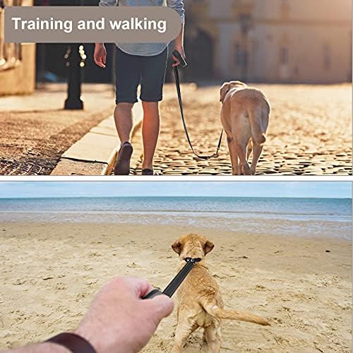 Molain Reflective Dog Leash 47.2 x 1 inch(120x2.5cm) Nylon leash Durable Training Lead Rope with Metal Clasps Leash for Puppies Dog Training Leash for Small Medium Large Dogs Pet Dog Accessories Black