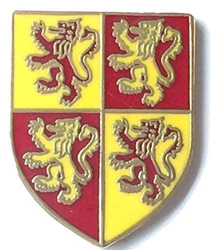 Wales Welsh Devolution Shield Enamel Lapel Pin Badge T1023