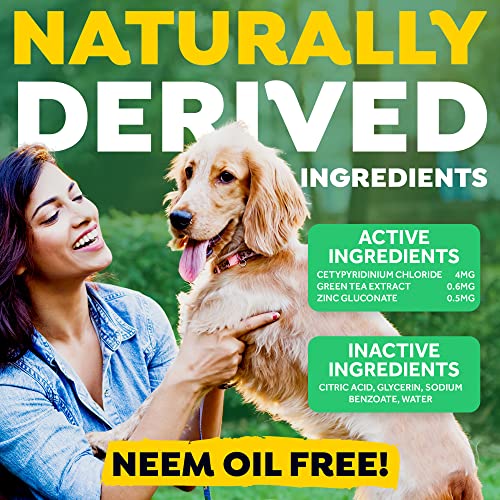 Tropiclean Fresh Breath Original | Dog Oral Care Water Additive | Dog Breath Freshener Additive For Dental Health | Vohc Certified | Made In The Usa | 33.8 Oz. #TOP6