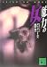 魔力の女 (講談社文庫 あ 72-12) - グレッグ アイルズ, 雨沢 泰