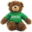 Kelly Green Shirt