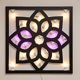  Luminaria Florina