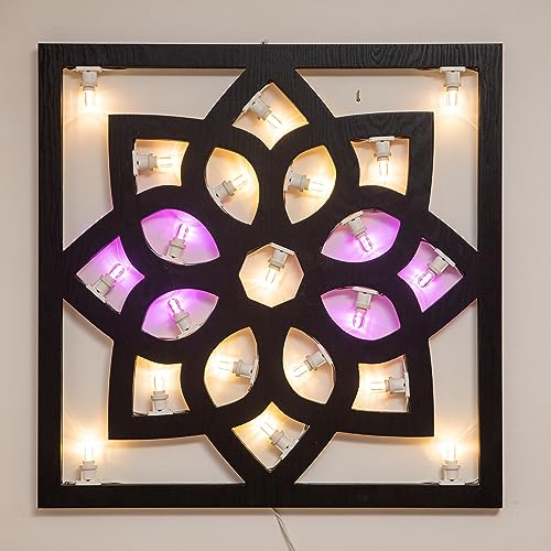  Luminaria Florina