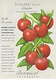 Glacier Bush Tomato -25 Seeds