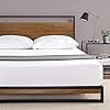 ZINUS Suzanne 37 Inch Bamboo and Metal Platform Bed Frame / Solid Steel Construction / No Box Spring Needed / Wood Slat…
