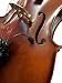 The Feather Cello Pickup with Flexible Micro-Gooseneck by Myers Pickups