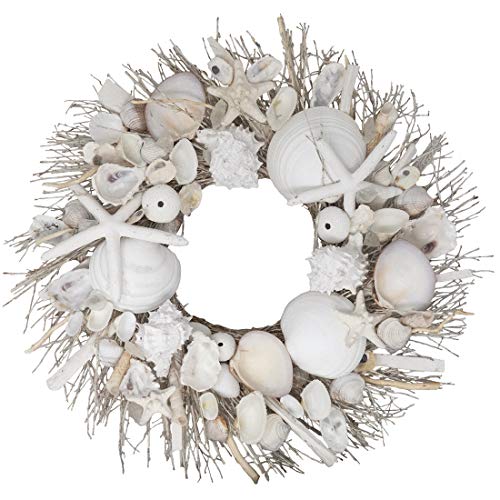 ANDALUCA Summer Seashell & Starfish 20' Coastal Wreath...