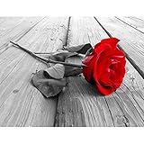 UNSCHLAGBARERER PREIS: beste Preise, schneller und perfekt gesicherter Versand vom deutschen Hersteller direkt an Ihre Haustür