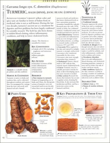 image for DK Encyclopedia of Herbal Medicine: The Definitive Home Reference Guid