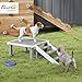 PawHut Wooden Dog Training Platform, Dog Training Place Board with Ladder, Pet Agility System for Small and Medium Dogs, Indoor or Outdoor Use, Gray