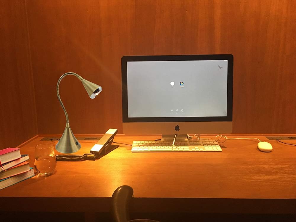 HomeFocus Table Lamp,Desk Lamp,Dimmable Night Light,LED Reading Lamp,Bedside Table Lamp,Eye-Caring Reading Light,LED Desk Lamp for Home Office,College Dorm,Reading,Metal,(Gold).