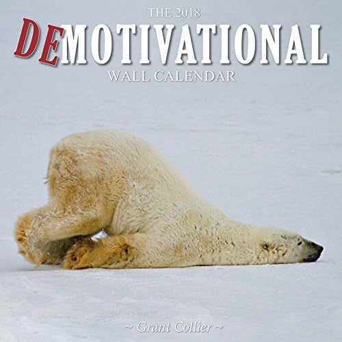 The 2018 Demotivational Wall Calendar (1234;x1234;) Calendar – Wall Calendar, July 20, 2017