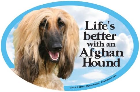Dog Pet Magnets, Afghan Hound - Life's Better with an Afghan Hound - Strong Durable Car or Fridge Magnet Decal with Bright Colors, Great Gift for Dog Mom or Dad, 6 x 4 inches image 2