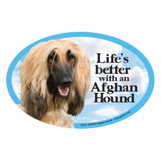 Prismatix Decal Dog Pet Magnets, Afghan Hound - Life's Better with an Afghan Hound - Strong Durable Car or Fridge Magnet Decal with Bright Colors, Great Gift for Dog Mom or Dad, 6 x 4 inches