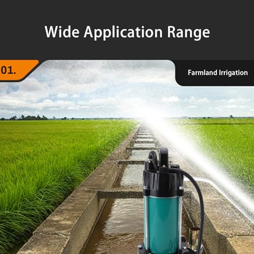 Stainless Steel Submersible Pump 300W 3000L/H 22m Head 1-Inch DC12V Waterproof Submersible for Pond Fountain Aquarium